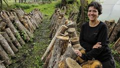 Plantaci�n de shiitake en la Ribeira Sacra