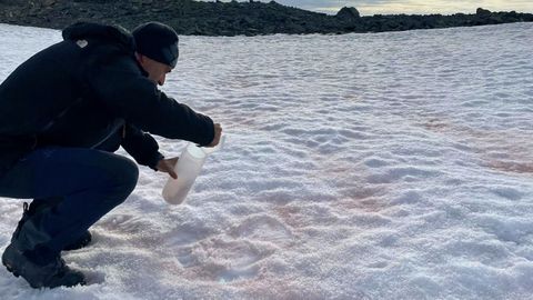 Muestreo de la presencia de algas rojas en la Ant�rtida