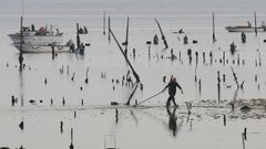 Parquistas de Carril trabajando (foto de archivo)