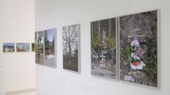 La exposici�n est� en el Marcos Valc�rcel