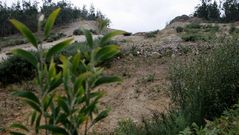 Obras de la autov�a en O Rempen�n.