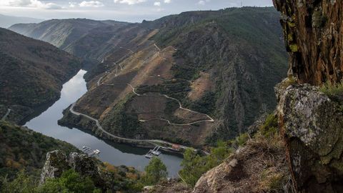 Una vista del can del Sil desde el mirador. Abajo, a la derecha, el embarcadero de Doade o Ponte da Abeleda, en territorio de Monforte