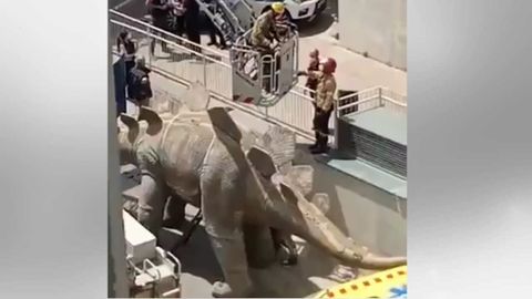 Imagen capturada de un v�deo de Twitter de El Mirall.net