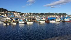 Puerto de Bueu, uno de los afectados por los nuevos cambios en el reglamento que regula la bajura