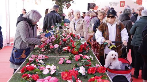 El premio especial a la �Mellor presentaci�n art�stica� recay� en Luc�a Villalba Barros