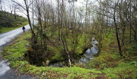 El ochenta por cierto del parque natural As Fragas do Eume pertenece a particulares. 