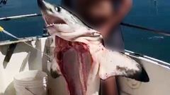 V�deo difundido en redes sociales