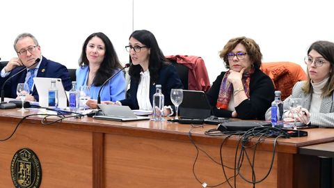Crujeiras, durante una de sus intervenciones en la Facultade de Dereito