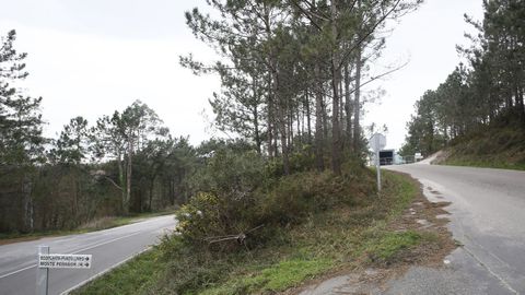 Las siete parcelas forestales del Concello est�n en diferentes parroquias