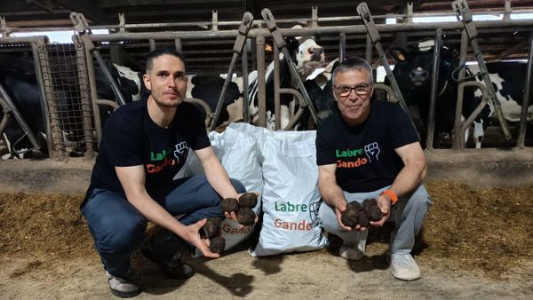 Alejandro Moure es responsable de Labregando, y Sabino Domínguez trabaja como ganadero en Mazaricos