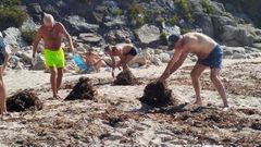 Baistas del Matadero retiran las algas que desde mediados de septiembre provocaron una proliferacin de insectos en el arenal