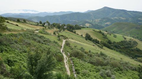Entrada del Camino Francs en Galicia.