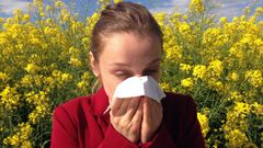 alergia, polen,.Una alrgica entre un mar de polen