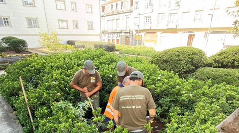 Preparaci�n de la parcela donde se colocar� la escultura del rey Alfonso VII
