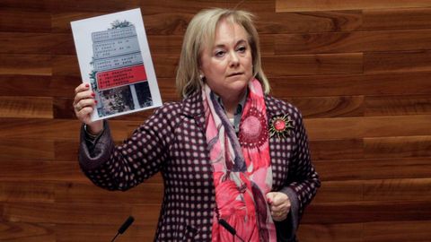 Mercedes Fernández carga con la oficialidad con una imagen de carteles bilingües