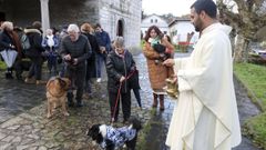Bendici�n de animales en Sillobre