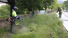 Obreros desbrozando en los alrededores de Ponte Caldelas el pasado mes de junio