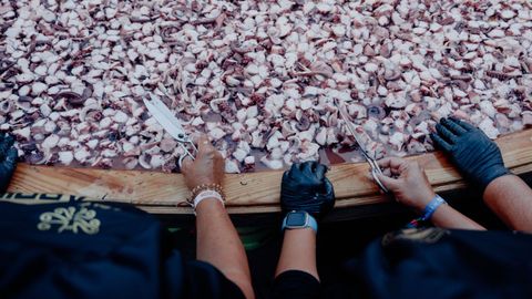 Los pulpeiros de O Carballi�o prepararon la tapa m�s grande del mundo