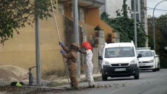 Retirada de un nido de velutinas en la calle Dous de Maio de Escair�n, el pasado 29 de octubre