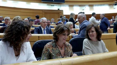 Sesión de control al Gobierno en el Senado