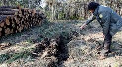 La pol�mica intervenci�n se llev� a cabo en un �rea protegida por su valor arqueol�gico.