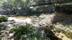 R�os con problemas por sequ�a en la comarca de Pontevedra