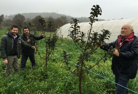Quin �lvarez, Juan �ngel P�rez, Antonio Tartiglione y Santos Rodr�guez forman Cultivos Baixo Mi�o.