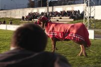 El p�blico sigui� con atenci�n las evoluciones de �Baiuca�. 