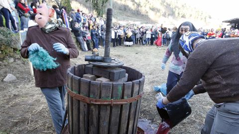 Domingo de Entroido Ribeirao en Santiago de Arriba