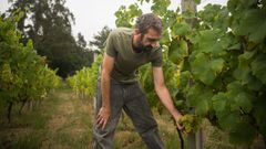 David Rial, bodega Cazapitas