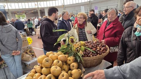 Feira de Santos de Monterroso
