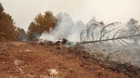 En el incendio de Vilarello (Cervantes) ardieron 150 hectreas
