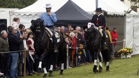 Feria caballar en las Fiestas de San Marcos 2019