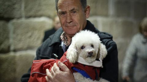 MISA Y BENDICIN DE LAS MASCOTAS CON MOTIVO DEL SAN ANTONIO EN LA IGLESIA DE LA ORDEN TERCERA