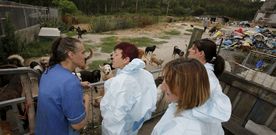Imagen de la concejala y la veterinaria con la responsable de Terrac�n. 