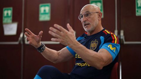 Luis de la Fuente, seleccionador espa�ol.