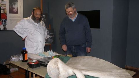 De izquierda a derecha, los investigadores Jos� Antonio Pis Mill�n y Carlos Nores, con una esc�pula de ballena procedente de Toranda (Llanes).
