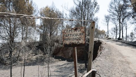 As� ha quedado uno de los municipios afectados por las llamas en Castell�n
