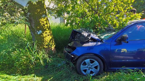 El vehículo se salió de la vía y chocó contra un árbol.