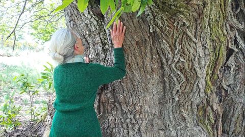 Celebracin do festival Latexos do Rural en Ris