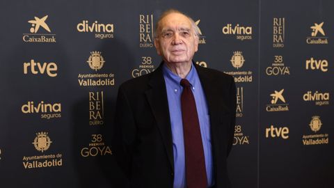 Fernando Mndez-Leite, presidente de la Academia del Cine