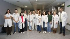 Parte del equipo de la Unidad de Mama del HULA con la coordinadora de la unidad, la doctora Luca Graa (cuarta por la izquierda).
