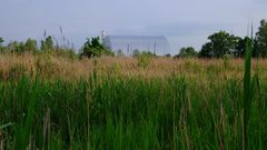 Azbuchyn lake, Zona de Exclusi�n de Chernobyl. Zona de charcas a s�lo un kil�metro de la central nuclear, que se ve al fondo. Mayo de 2019. Autor: Germ�n Orizaola
