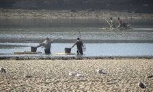 Los furtivos, bien equipados, hasta con tablas de surf, camparon a sus anchas ayer en O Burgo. 