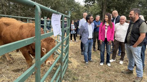 La conselleira do Medio Rural, Mar&iacute;a Jos&eacute; G&oacute;mez, estuvo en la inauguraci&oacute;n de la Exposici&oacute;n Agrogandeira Crianza Trevinca,