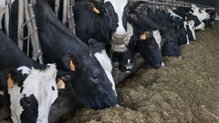 El objetivo de estas ayudas es mejorar la calidad de la leche gallega