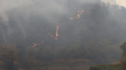 El rastro que deja el fuego en la ribeira del Sil