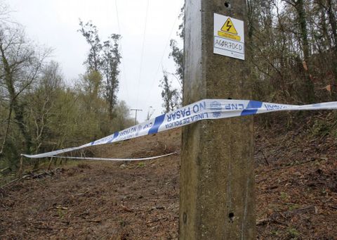 Terrenos a orillas del río Lérez donde fueron localizados los restos humanos hace un mes.