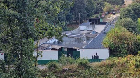 Sede actual de la Sociedad Protectora de Animales y Plantas de Lugo.