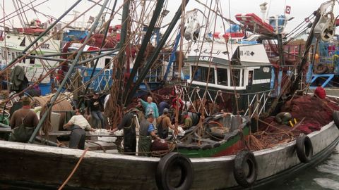 Barco en el puerto de Dajla